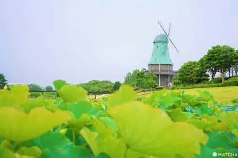 🏞️ 카스미가우라 종합 공원(카스미가우라 소고 코엔) 이미지 11